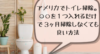 アメリカでトイレ掃除。これを１つ入れるだけで３ヶ月掃除しなくても良い方法。知らないと損！